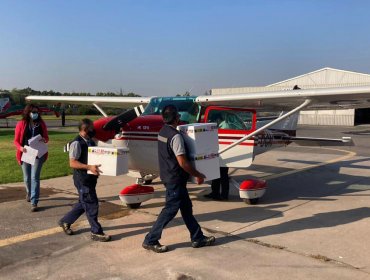 Federación Aérea facilita 400 aviones y 2 mil pilotos para traslado de vacunas contra el Covid-19