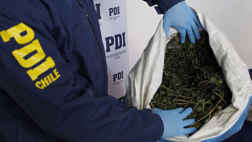 PDI Los Andes incauta cargamento de droga avaluada en $3.600 millones