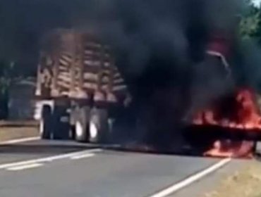 Ataque incendiario dejó un camión de transporte forestal destruido en ruta de Tirúa