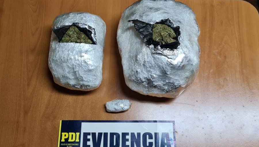 Detectan más de 2 kilos de marihuana en Nogales: alerta la efectuó un canino de la PDI