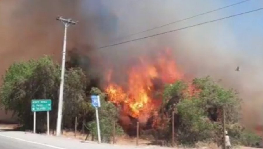 Declaran Alerta Roja para la comuna de Monte Patria por incendio forestal cercano a sectores habitados