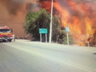 Incendio forestal de rápida propagación afecta a Monte Patria: siniestro amenaza a una bencinera