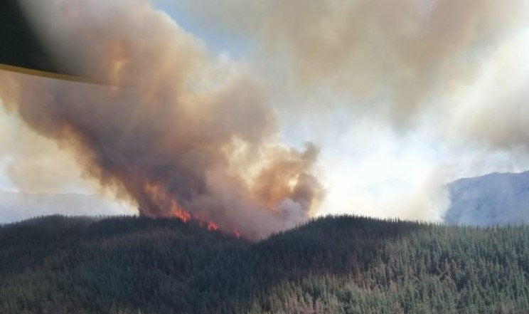 Onemi activó mensajería SAE por incendio en San Fernando: solicitó evacuar poblado de Sierras de Bellavista