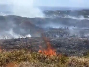 Detienen a hombre por su presunta participación en incendio de Rapa Nui: quedó con arraigo insular