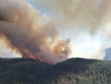 Onemi activó mensajería SAE por incendio en San Fernando: solicitó evacuar poblado de Sierras de Bellavista