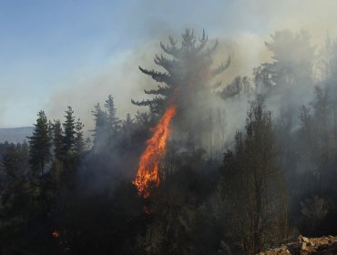 Se mantiene alerta roja en Monte Patria por agresivo incendio forestal