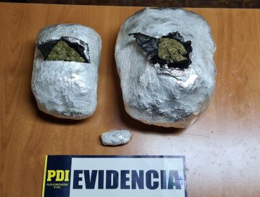 Detectan más de 2 kilos de marihuana en Nogales: alerta la efectuó un canino de la PDI