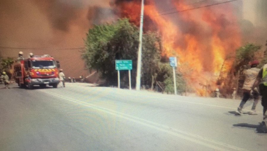 Incendio forestal de rápida propagación afecta a Monte Patria: siniestro amenaza a una bencinera