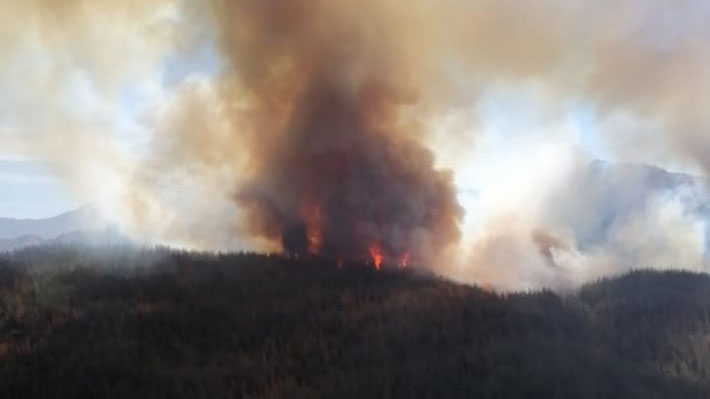 Incendio forestal en San Fernando ha consumido más de 530 hectáreas: amenaza a poblados cercanos