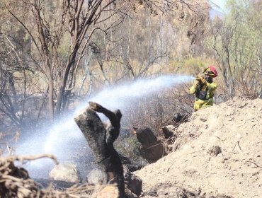 Incendio forestal ha consumido 15 hectáreas en Monte Patria: Cancelan Alerta Roja y declaran Alerta Amarilla