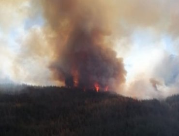 Incendio forestal en San Fernando ha consumido más de 530 hectáreas: amenaza a poblados cercanos