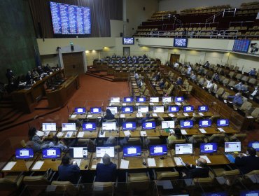 Cámara de Diputados despachó proyecto de voto anticipado