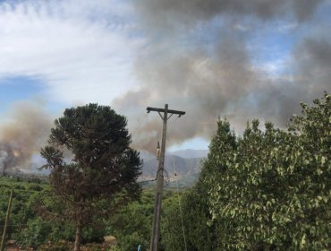 Incendio forestal en el sector de Pachacama en La Calera ha consumido más de 7 hectáreas