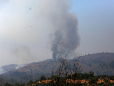 Cancelan la Alerta Temprana Preventiva para la Provincia de Limarí por amenaza de incendio forestal