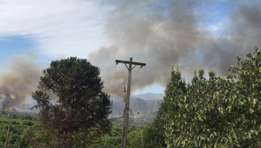 Incendio forestal en el sector de Pachacama en La Calera ha consumido más de 7 hectáreas