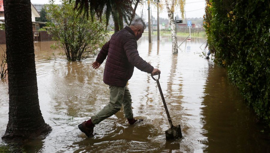 Productores de frutas reportan daños importantes en cosechas por las lluvias