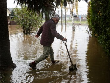 Productores de frutas reportan daños importantes en cosechas por las lluvias