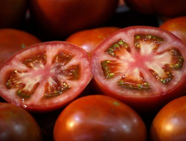 Descartan alza de precios de frutas y verduras tras paso de sistema frontal por la zona centro-sur