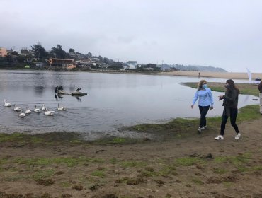 Programa «Reconocimiento de Humedales Urbanos» protegerá a cuatro sitios de la región de Valparaíso