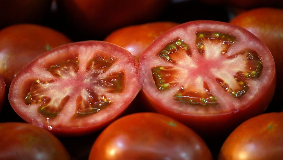 Descartan alza de precios de frutas y verduras tras paso de sistema frontal por la zona centro-sur