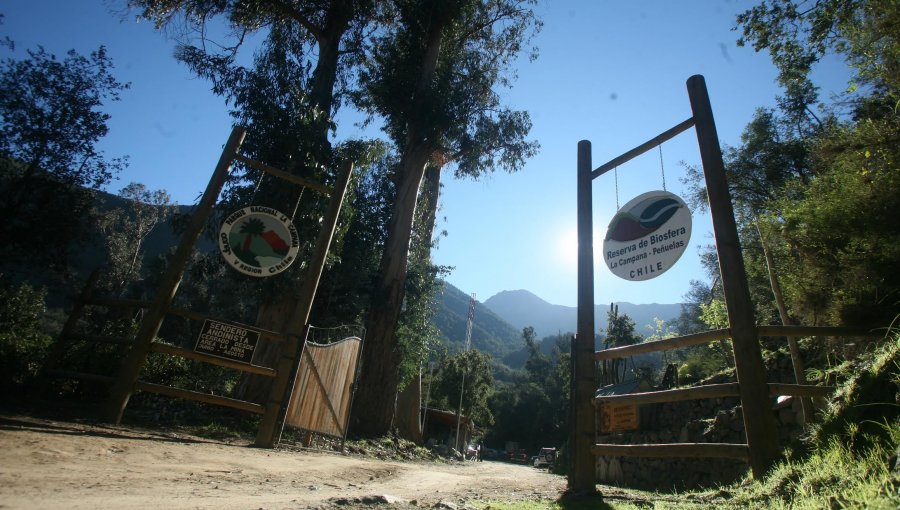 Reducen aforo de visitantes al Parque Nacional La Campana tras paso de Olmué a Fase de «Transición»