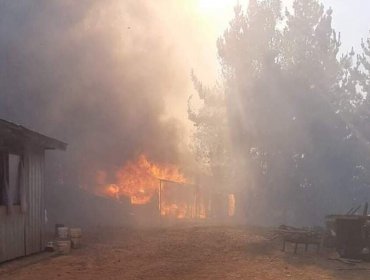 Alerta Roja en Lumaco: Incendio forestal "Alto Renaico" ha consumido tres viviendas