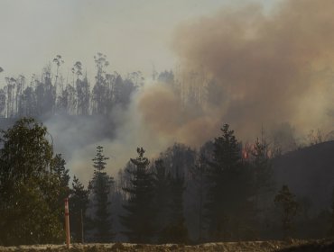 Seis incendios forestales se registran simultáneamente en la región de La Araucanía