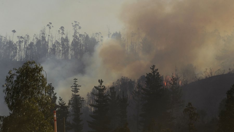 Seis incendios forestales se registran simultáneamente en la región de La Araucanía