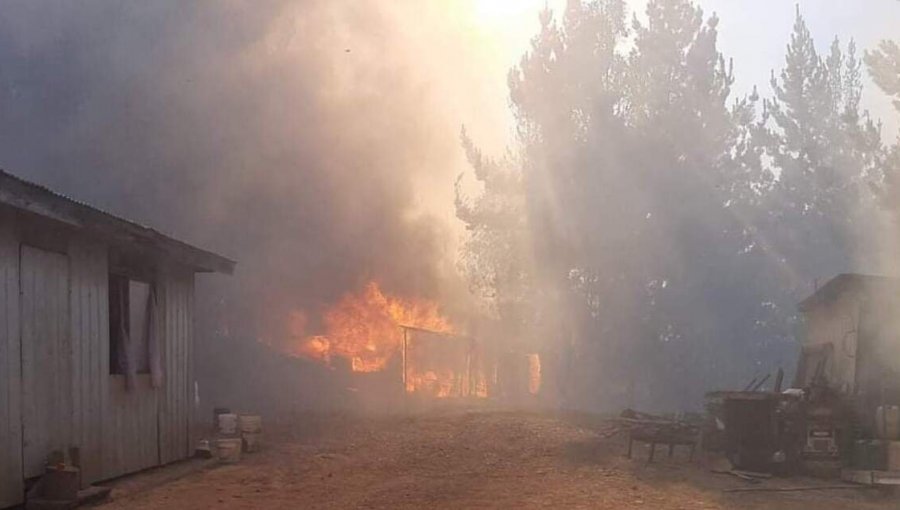 Alerta Roja en Lumaco: Incendio forestal "Alto Renaico" ha consumido tres viviendas