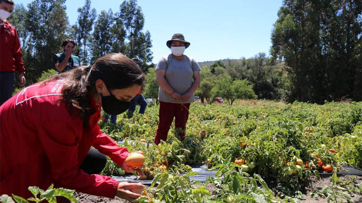 Ministerio de Agricultura decreta "emergencia agrícola" en provincias de Los Andes y San Felipe