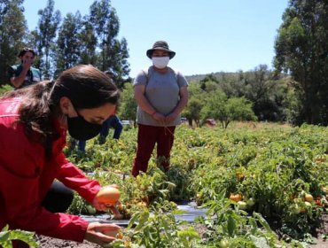 Ministerio de Agricultura decreta "emergencia agrícola" en provincias de Los Andes y San Felipe