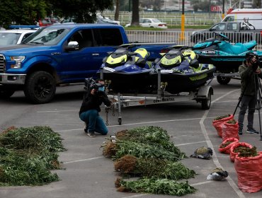 Cae banda criminal dedicada al cultivo y tráfico de marihuana: operativo se realizó en cuatro regiones