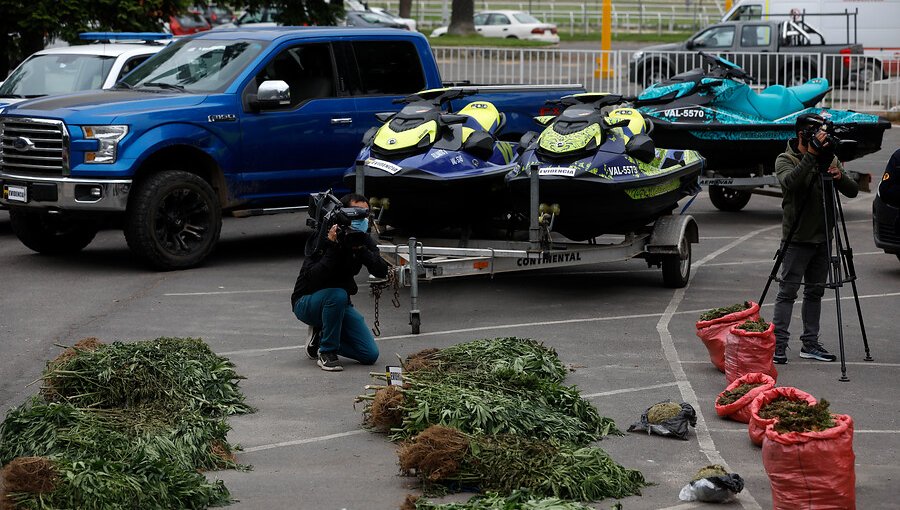 Cae banda criminal dedicada al cultivo y tráfico de marihuana: operativo se realizó en cuatro regiones