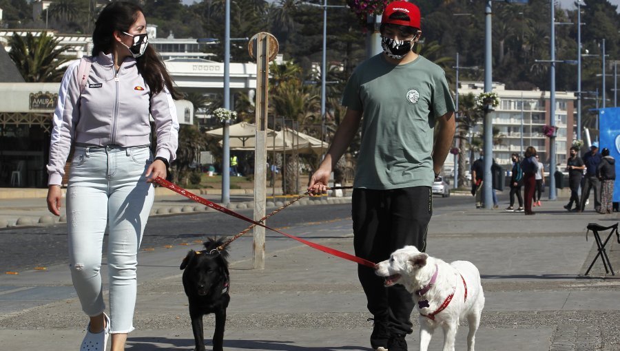 Más de un millón 500 mil mascotas han sido inscritas en el país