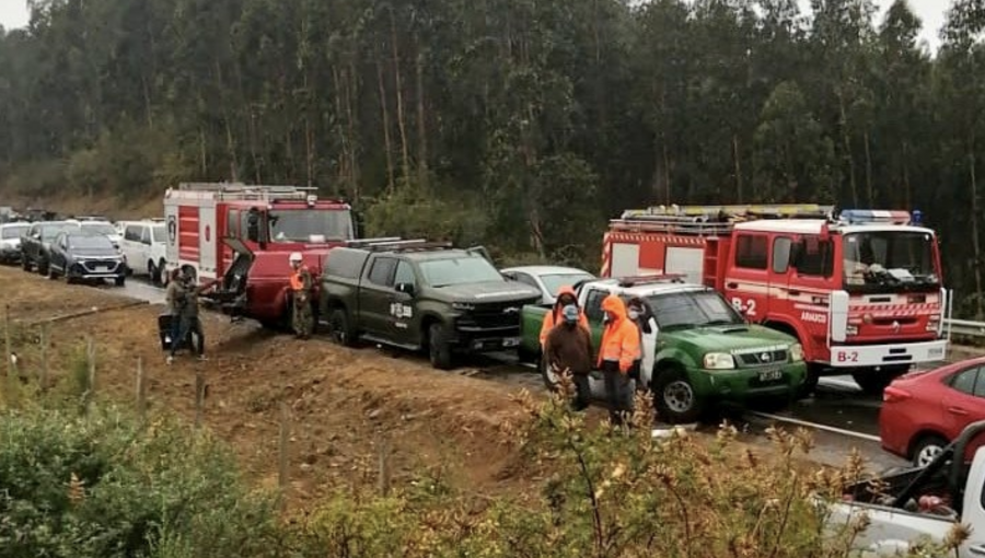 Desesperada búsqueda de niño de 3 años perdido en Lebu: operativo reúne a más de 100 personas