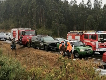 Desesperada búsqueda de niño de 3 años perdido en Lebu: operativo reúne a más de 100 personas