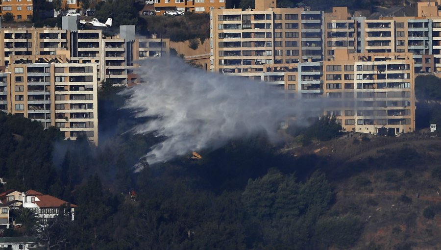 Incendio forestal en Miraflores Alto consumió cerca de 1.000 metros cuadrados