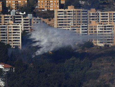 Incendio forestal en Miraflores Alto consumió cerca de 1.000 metros cuadrados