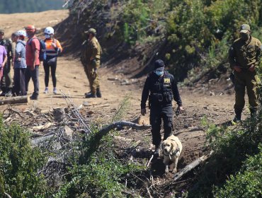 Desaparición del pequeño Tomás: Defensoría de la Niñez presenta querella por "sustracción de menores"