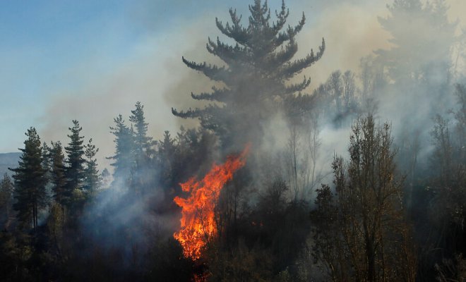 Declaran Alerta Temprana Preventiva para la región de La Araucanía por amenaza de incendio forestal