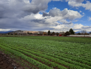 Core aprueba Plan Regulador que ordena por 30 años el territorio del interior de la región de Valparaíso