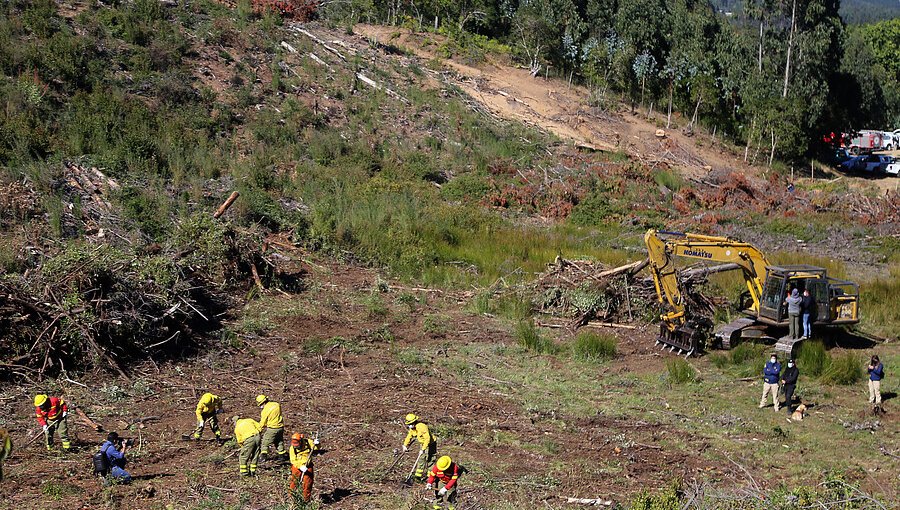 Fiscal a cargo de búsqueda de Tomás afirma que masiva concurrencia de personas "destrozó el sitio del suceso"