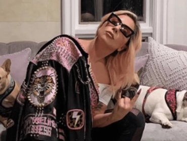 Balean a hombre que paseaba a los perros de Lady Gaga por las calles de Hollywood