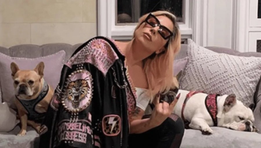 Balean a hombre que paseaba a los perros de Lady Gaga por las calles de Hollywood