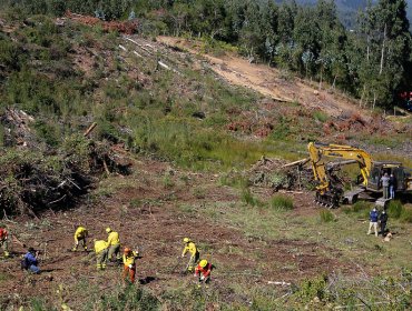 Confirman hallazgo del cadáver sin identificar de un niño en sector donde era buscado el pequeño Tomás