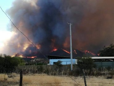 Incendio en Curacaví consume cerca de 200 hectáreas y Onemi activa Alerta Roja