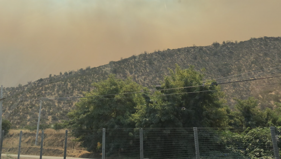 Mantienen Alerta Roja en Curacaví por incendio forestal que ha consumido más de 450 hectáreas