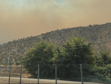 Mantienen Alerta Roja en Curacaví por incendio forestal que ha consumido más de 450 hectáreas