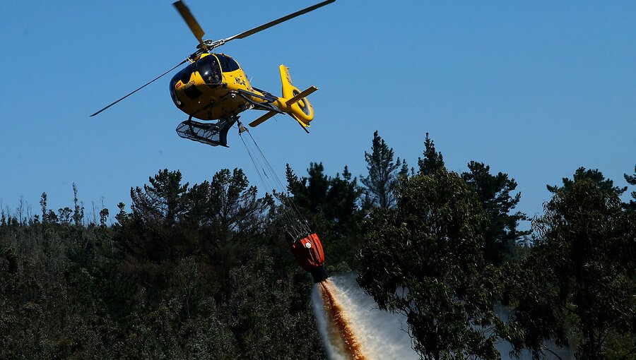 Controlan el incendio forestal en Curacaví y cancelan la Alerta Roja para la comuna