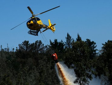 Controlan el incendio forestal en Curacaví y cancelan la Alerta Roja para la comuna